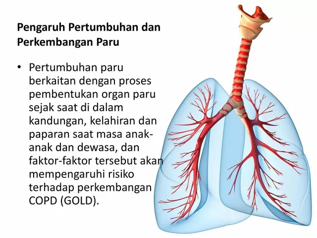 The Benefits of Support Groups for Individuals with Obstructive Pulmonary Disease