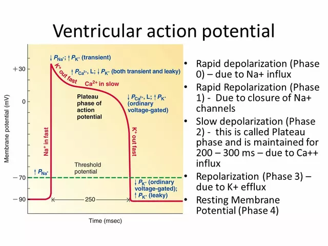 Nebivolol for Postural Hypotension: A Potential Treatment Option
