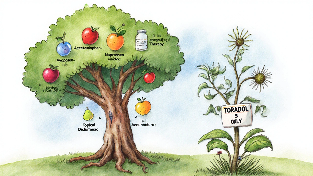 A symbolic pain relief tree with safe treatments as healthy branches and a wilting Toradol plant in the foreground.