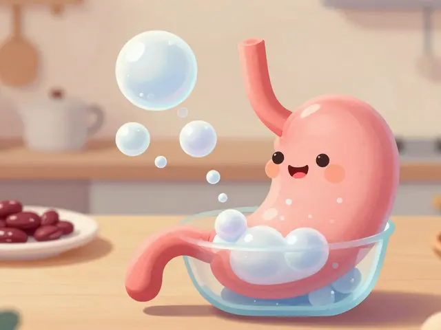 OTC Gas and Bloating Remedies: Simethicone vs Enzyme Products Explained