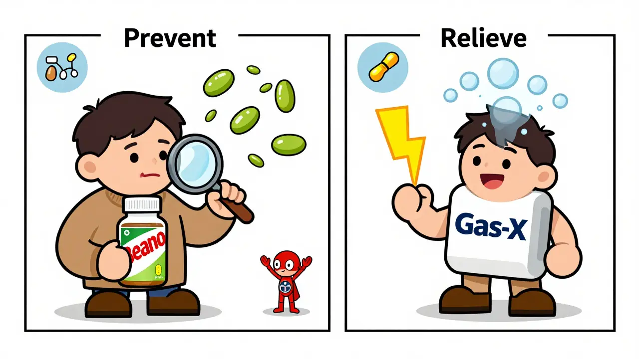 Two characters showing Beano preventing gas and Gas-X relieving it, with icons for prevention and relief.
